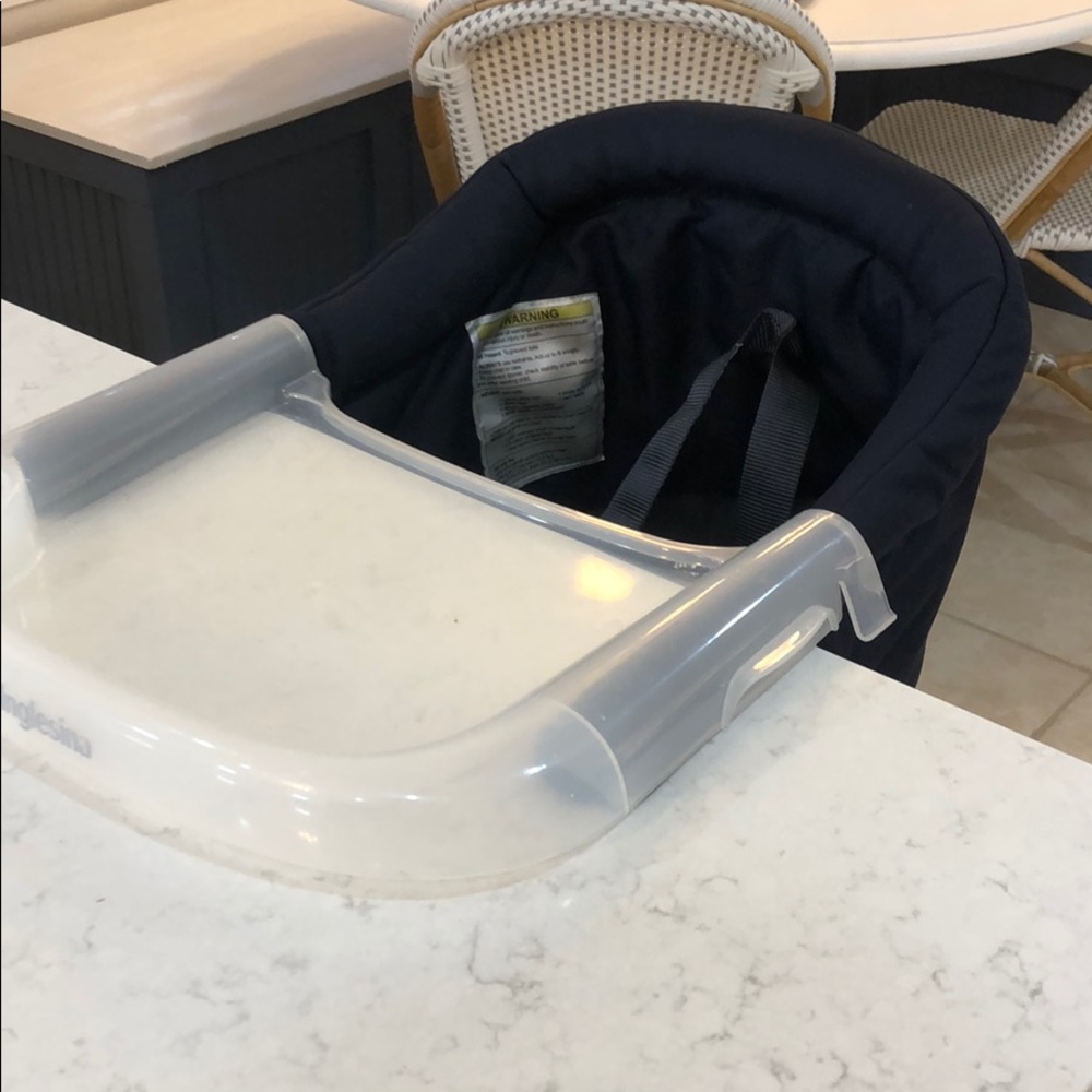 Inglesina Fast Table Chair with Tray